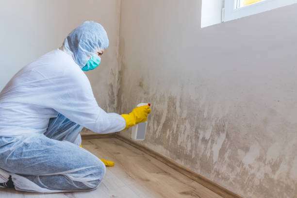 Crawl Space Mold Remediation treatment of floor joists in Sunnyvale